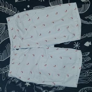 Allegiany mens Chino shorts